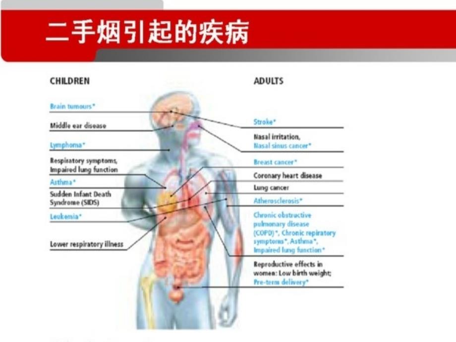 我国控烟形势和医生的责任_第3页