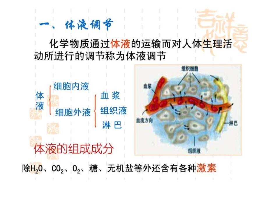 2009高三生物第一轮复习人和高等动物生命活动调节课件_第3页