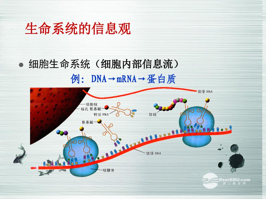 2013-2014学年高中生物5.4生态系统中的信息传递2课件新人教版必修_第4页