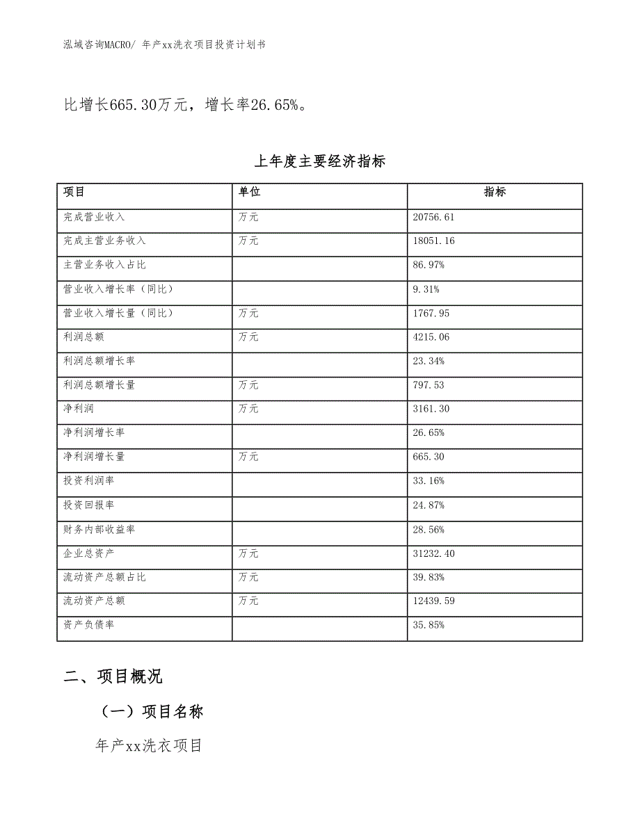 年产xx洗衣项目投资计划书_第4页