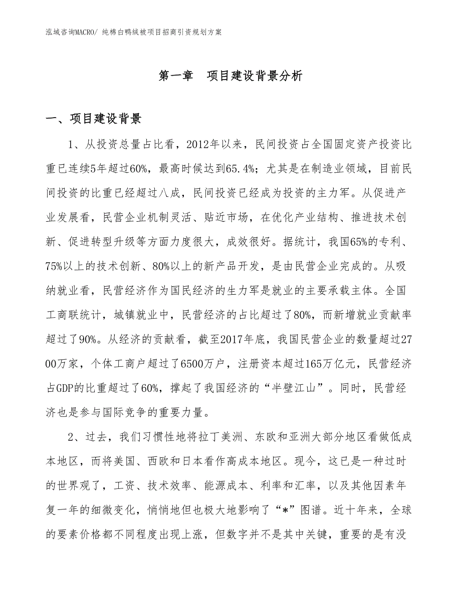 纯棉白鸭绒被项目招商引资规划方案_第3页