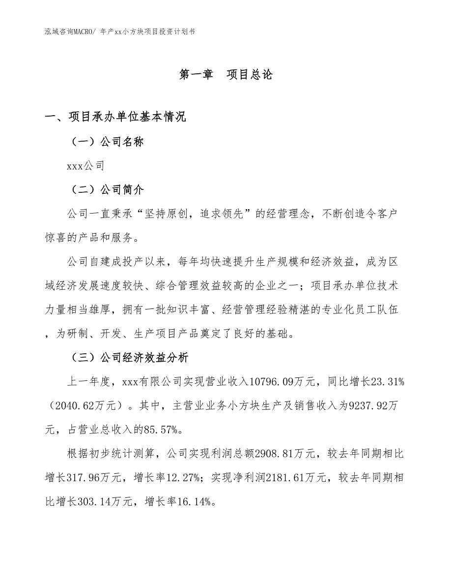 年产xx小方块项目投资计划书_第3页