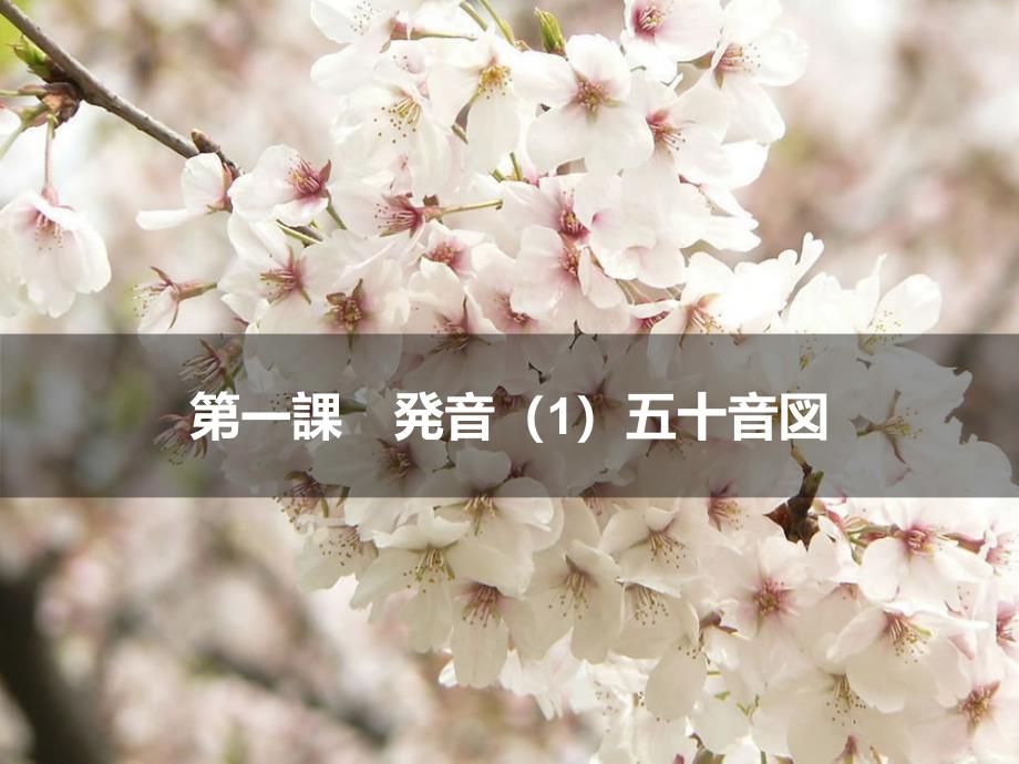 新情景日语会话教程入门篇第一课_第1页