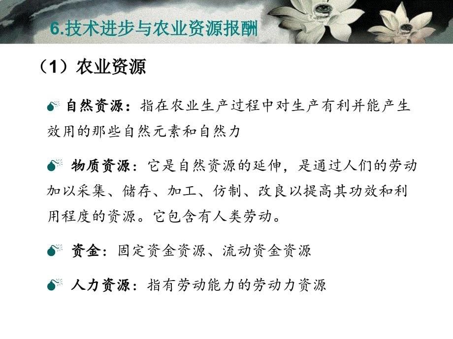 农业技术经济学第二章农业技术进步：内涵与机制_第5页