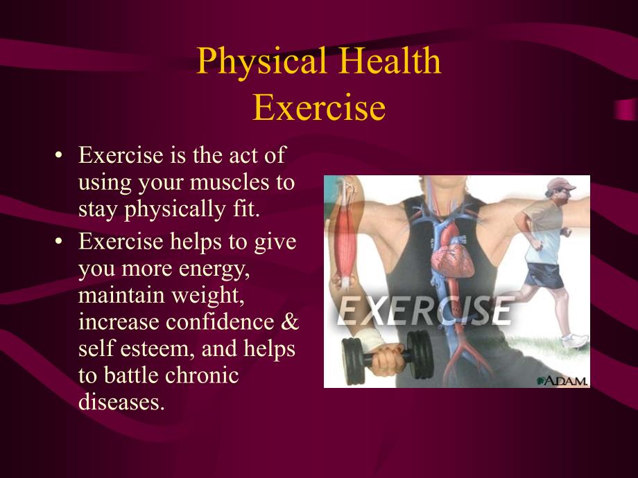 《健康三因素概述》ppt课件_第3页