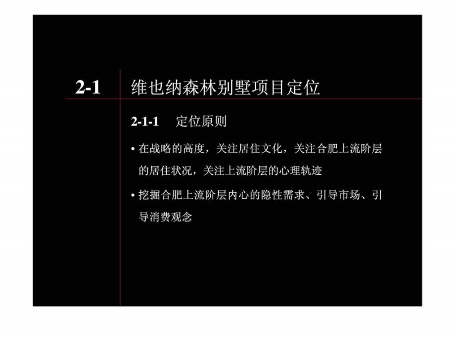 维也纳森林别墅-第二部分传播定位与广告策略_第4页