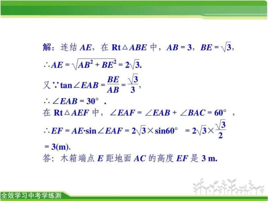 专题提升(十四)利用解直角三角形进行测量_第5页