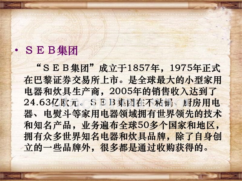 企业并购案例分析-seb国际股份有限公司并购苏泊尔ppt课件模板_第3页