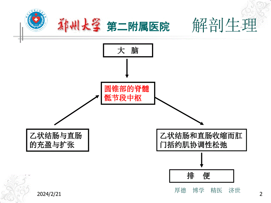 神经源性直肠功能障碍ppt课件_第2页