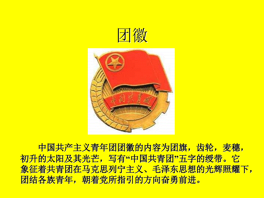 《光荣啊,中国共青团》主题班会ppt课件_第3页