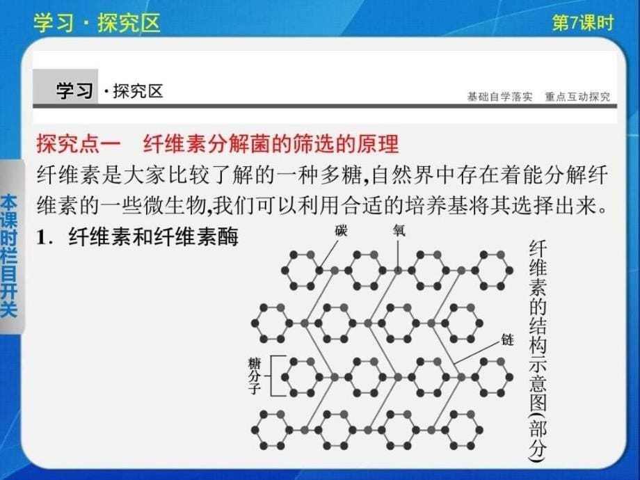 高中生物选修一2017-3分解纤维素的微生物的分离(30ppt)_第5页