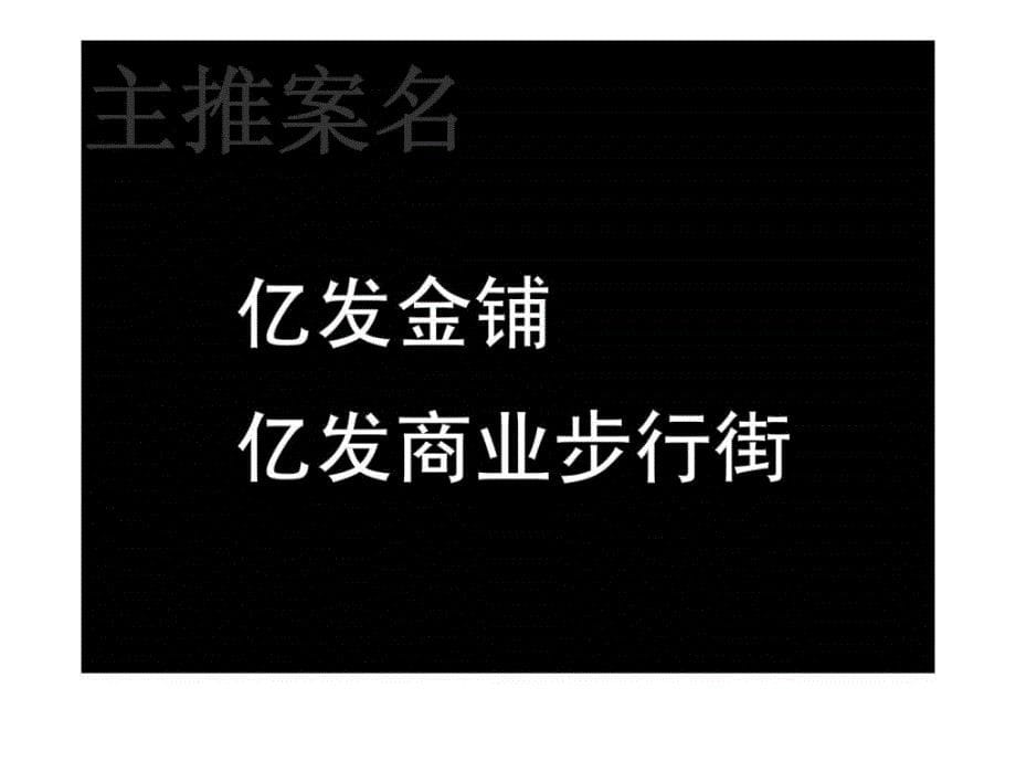 保利·乌江镇商业项目广告推广提案_第5页