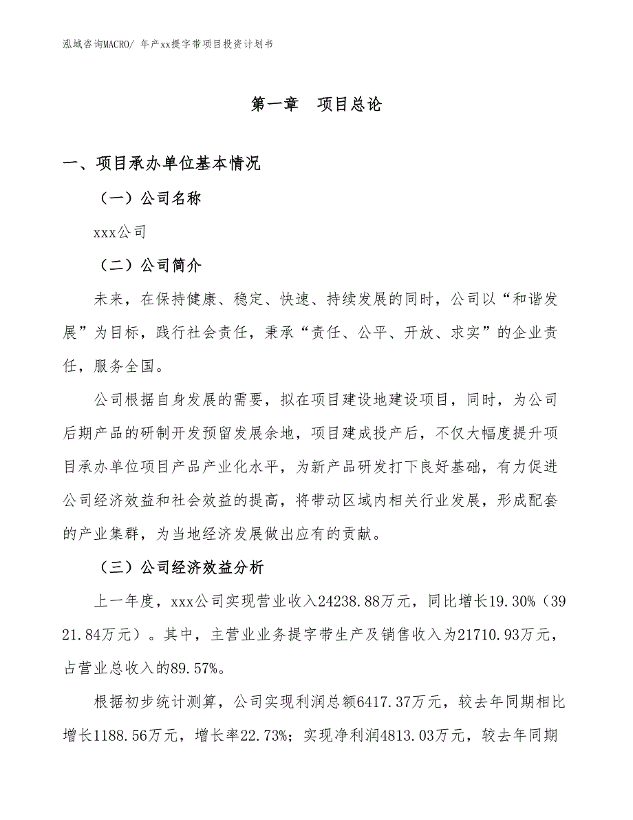 年产xx提字带项目投资计划书_第3页