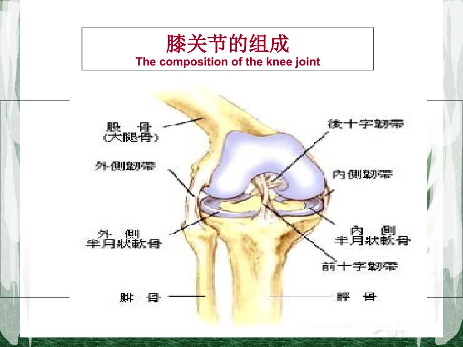 《全膝关节置换术后护理》ppt课件_第2页