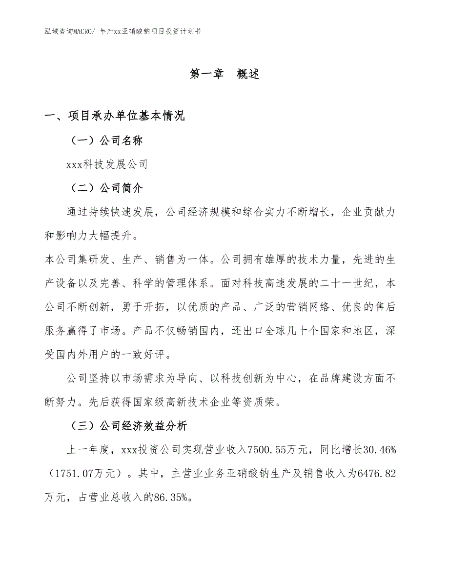 年产xx亚硝酸钠项目投资计划书_第3页