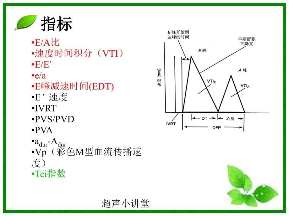 左室舒张功能测定_第5页