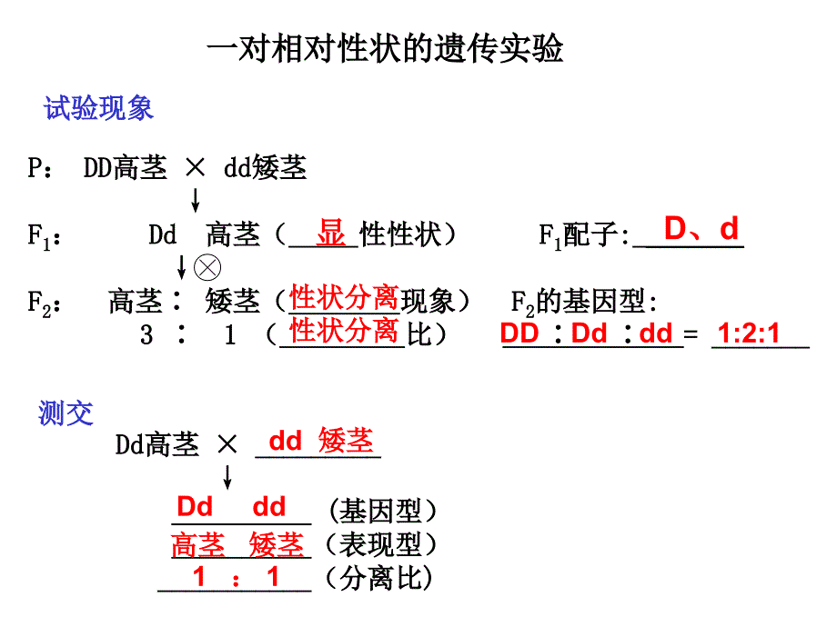 必修2知识点总结_第2页