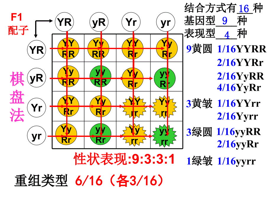 必修2知识点总结_第4页