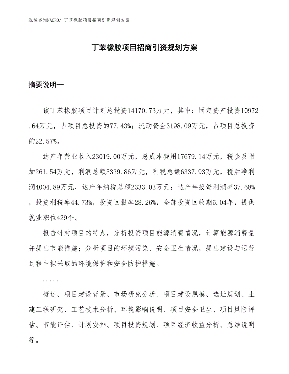 丁苯橡胶项目招商引资规划方案_第1页