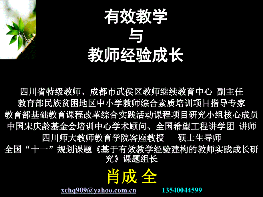 （小学语文、数学、英语）有效教学与教师经验成长研究_第1页