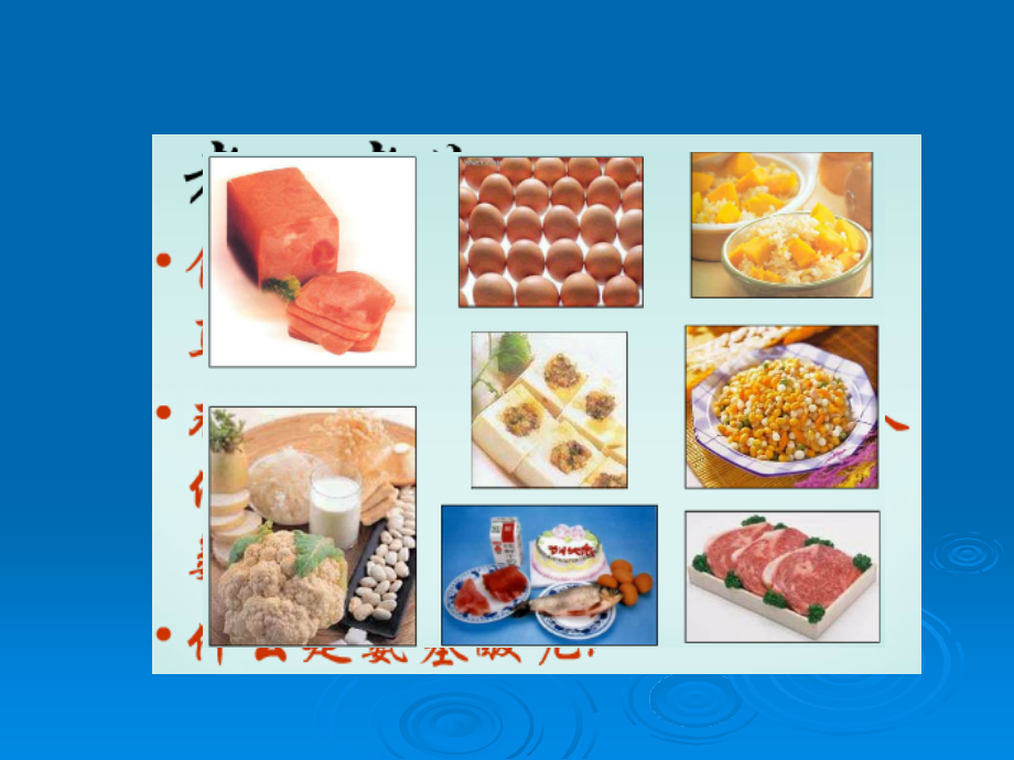 食品营养学第六章蛋白质ppt课件_第4页