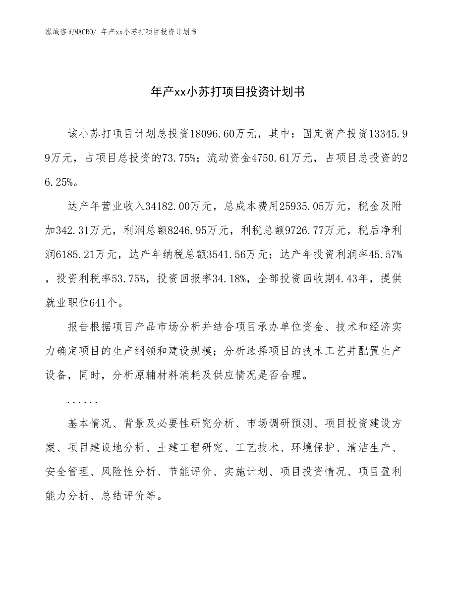 年产xx小苏打项目投资计划书_第1页