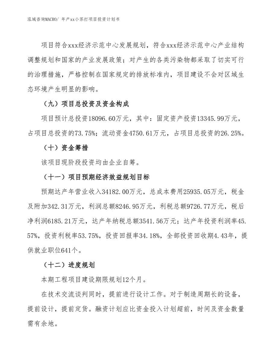 年产xx小苏打项目投资计划书_第5页