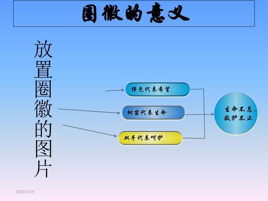 品管圈,相关护理文书,成果汇报__第5页