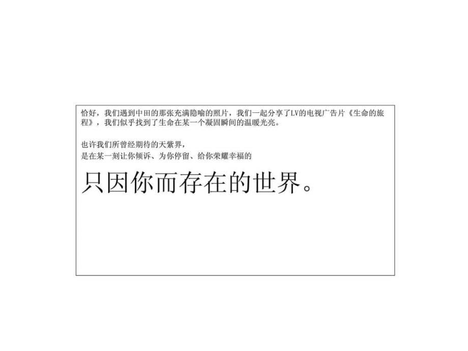 比一机构2009年成都天紫界项目传播策略_第5页