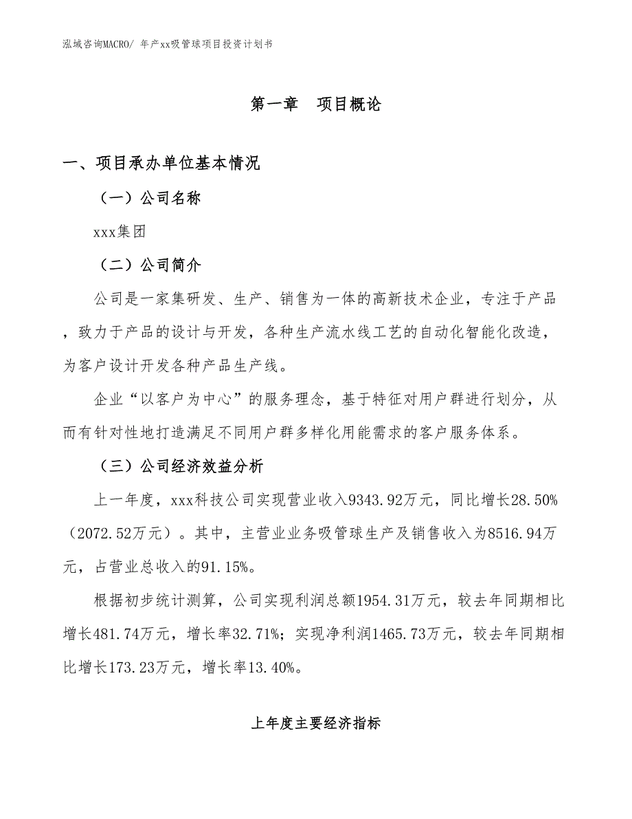 年产xx吸管球项目投资计划书_第3页