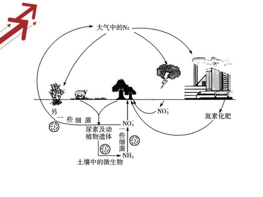 《自然界中的氮循环》课件_第4页