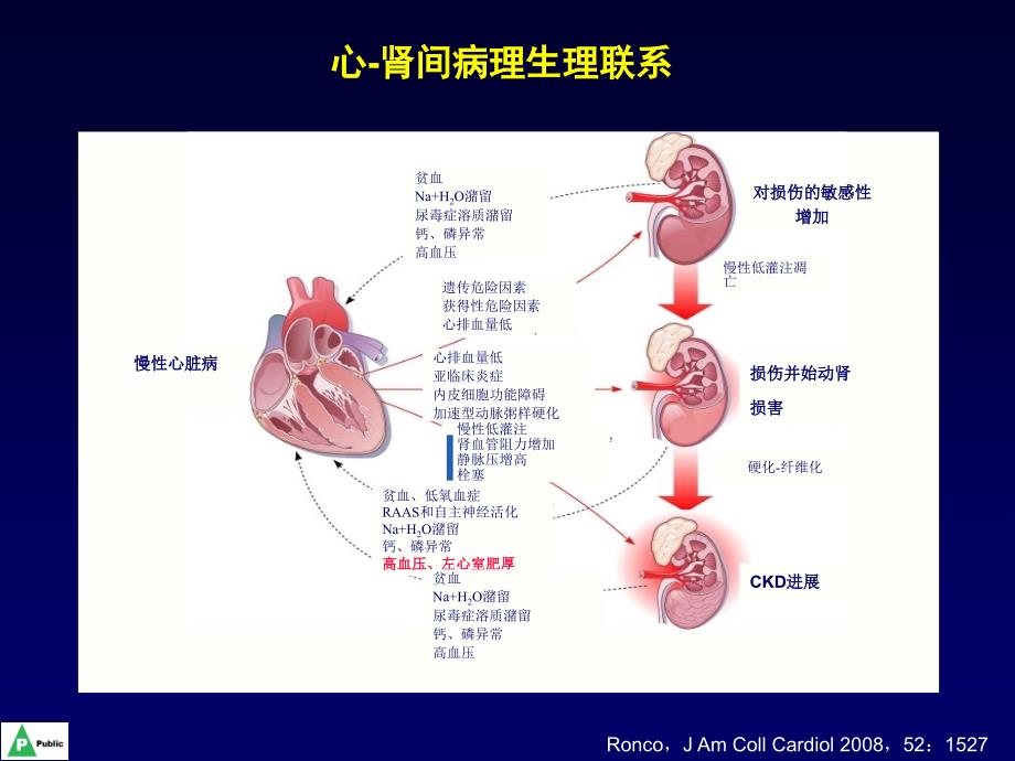 高血压与糖尿病患者早期肾损害的筛查ppt课件_第2页