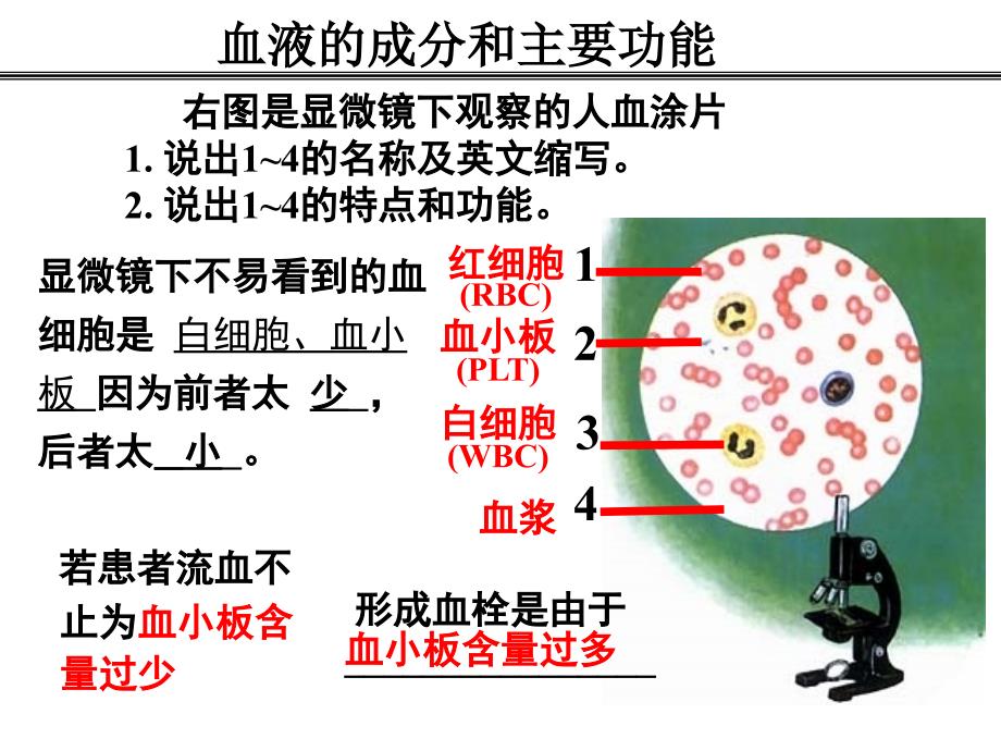 人体内物质的运输复习2016_第2页