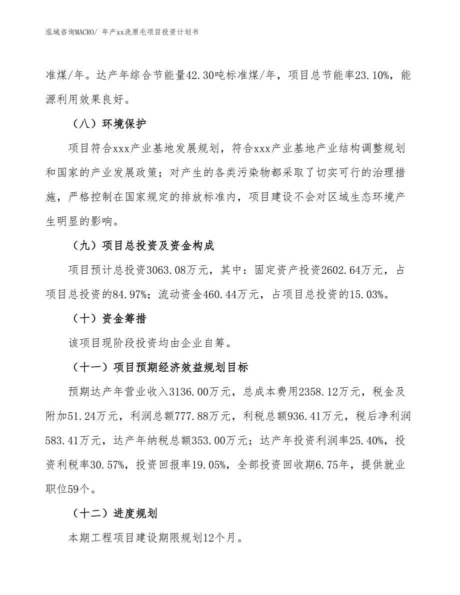 年产xx洗原毛项目投资计划书_第5页