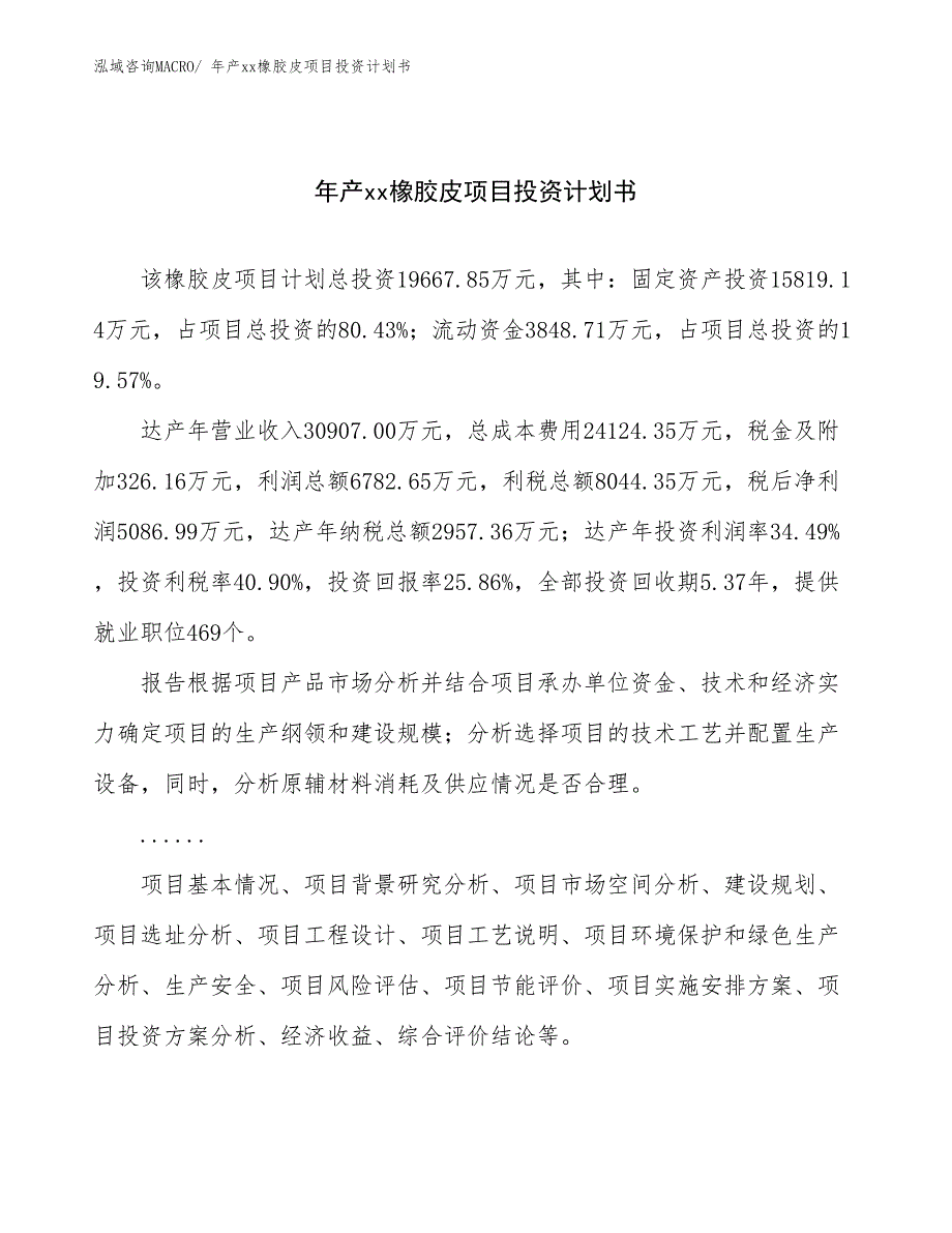 年产xx橡胶皮项目投资计划书_第1页