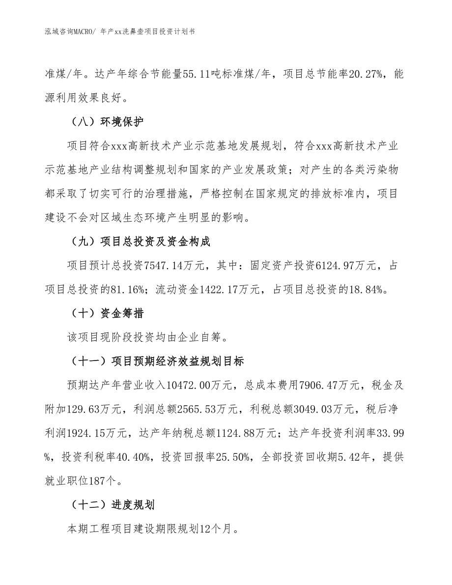 年产xx洗鼻壶项目投资计划书_第5页