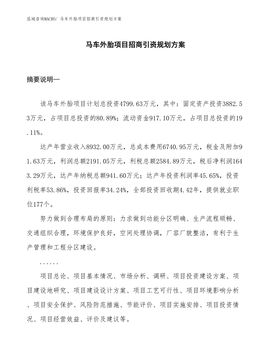 马车外胎项目招商引资规划方案_第1页