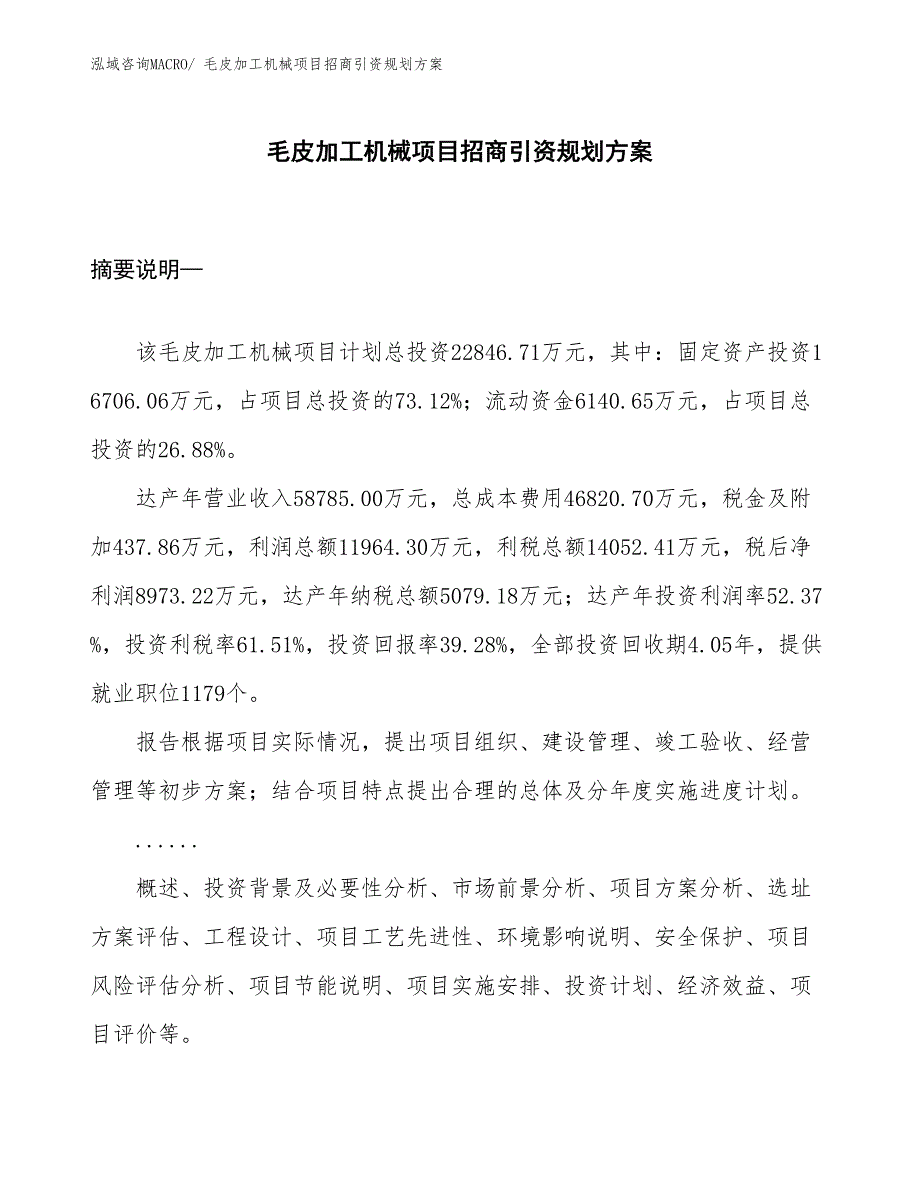 毛皮加工机械项目招商引资规划方案_第1页