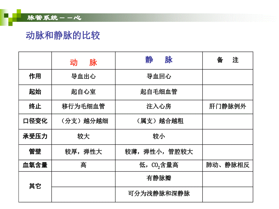 脉管系统-静脉、淋巴ppt课件_第4页