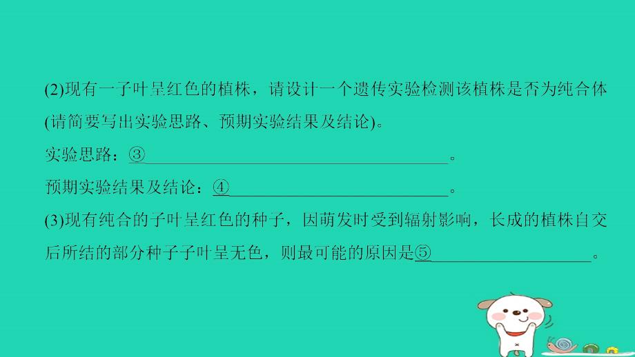 全国版2019版高考生物一轮复习第5单元遗传定律和伴性遗传非选择题五大命题点规范答题指导2课件_第3页