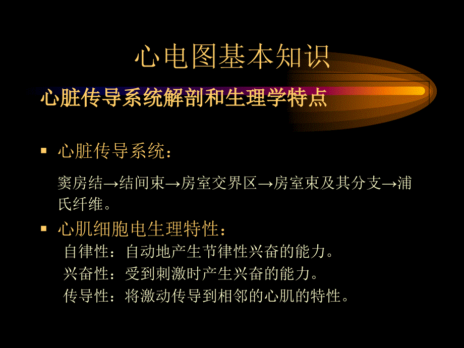 《心电图诊断学》ppt课件_第3页