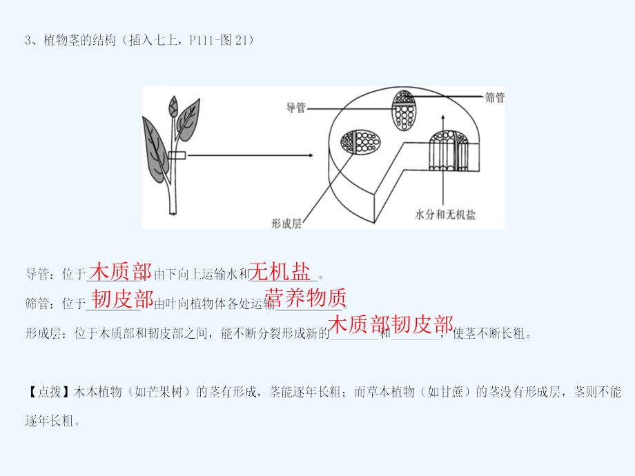 【广东中考高分突破】生物复习课件：第三单元-第三章-绿色植物与生物圈的水循环_第4页