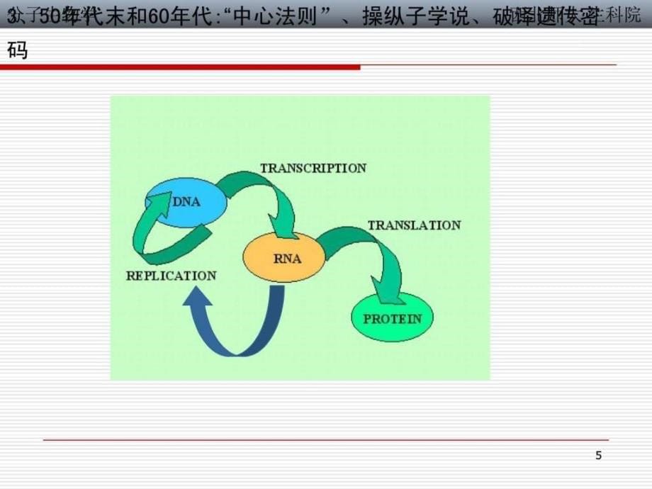 子生物学的研究方法-电泳、杂交_第5页