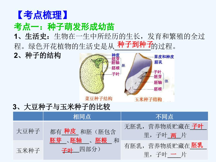 《中考宝典》广东省中考生物复习（考点梳理）课件： 第六章绿色开花植物的生活史（共20张ppt）_第3页