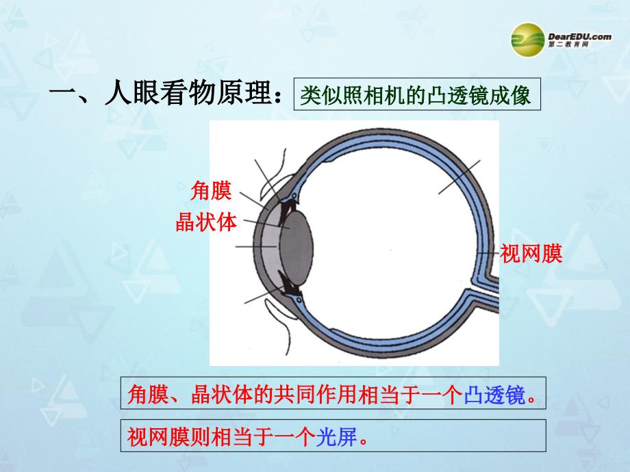 山东省邹平县实验中学八年级物理上册5.4眼睛和眼镜课件（新版）新人教版_第2页