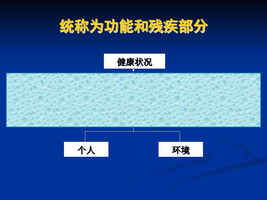 icf-cy在特殊教育中的实践ppt课件_第3页