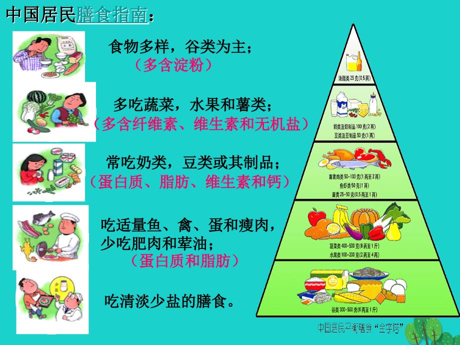 江苏省常州市钟楼实验中学七年级生物下册第四单元第九章第三节膳食指南与食品安全课件苏教版_第4页