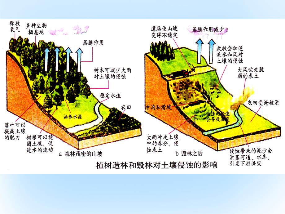 河北省高中地理第二章自然资源保护2.3可再生资源的利用与保护课件湘教版选修_第3页