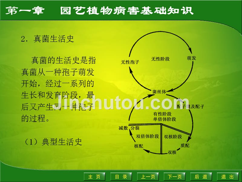 园艺植物病虫害防治1.2_第5页