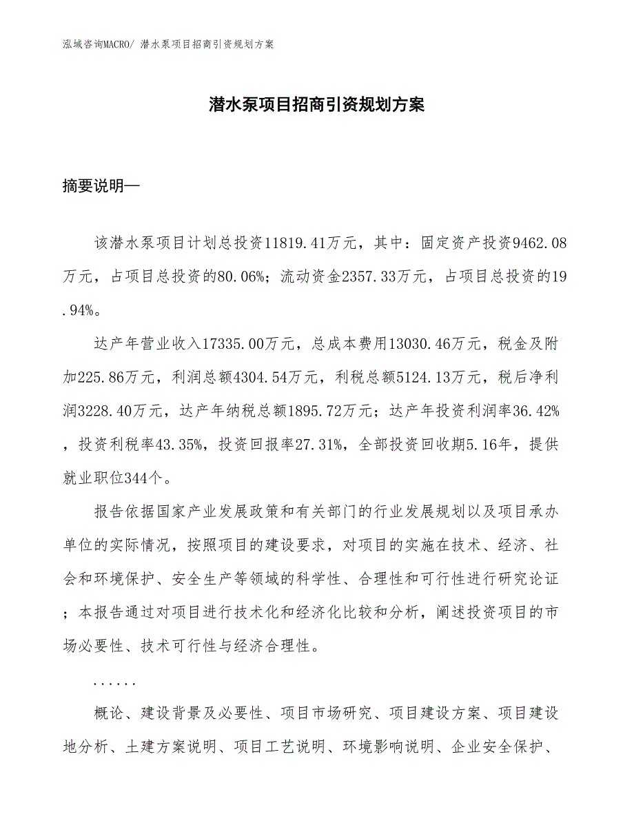 潜水泵项目招商引资规划方案_第1页